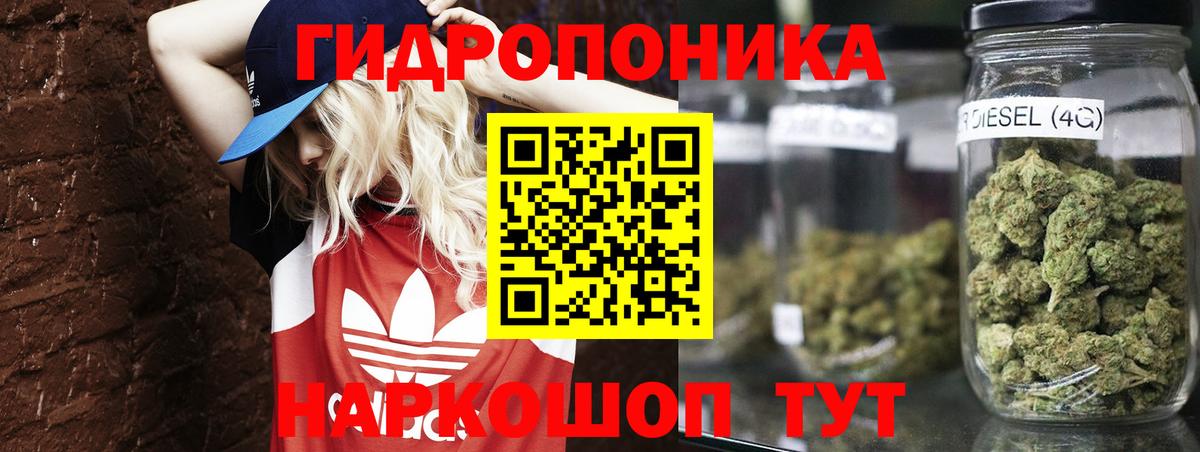 Каннабис конопля Гурьевск